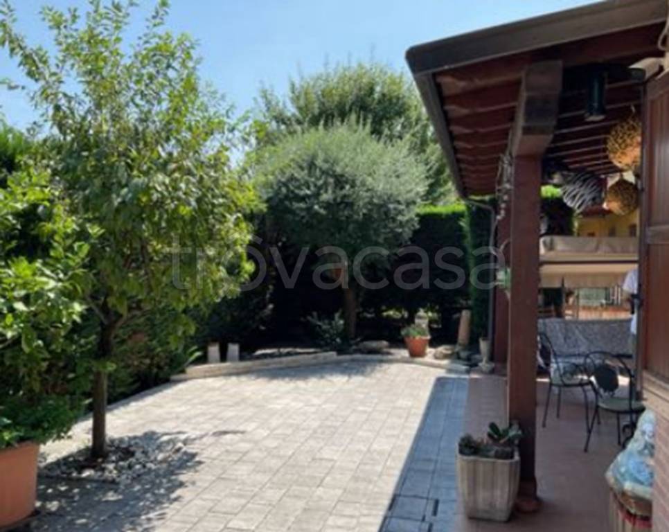 immagine annuncio 1 di 12