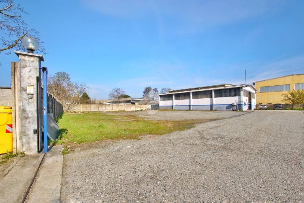 immagine annuncio 5 di 15