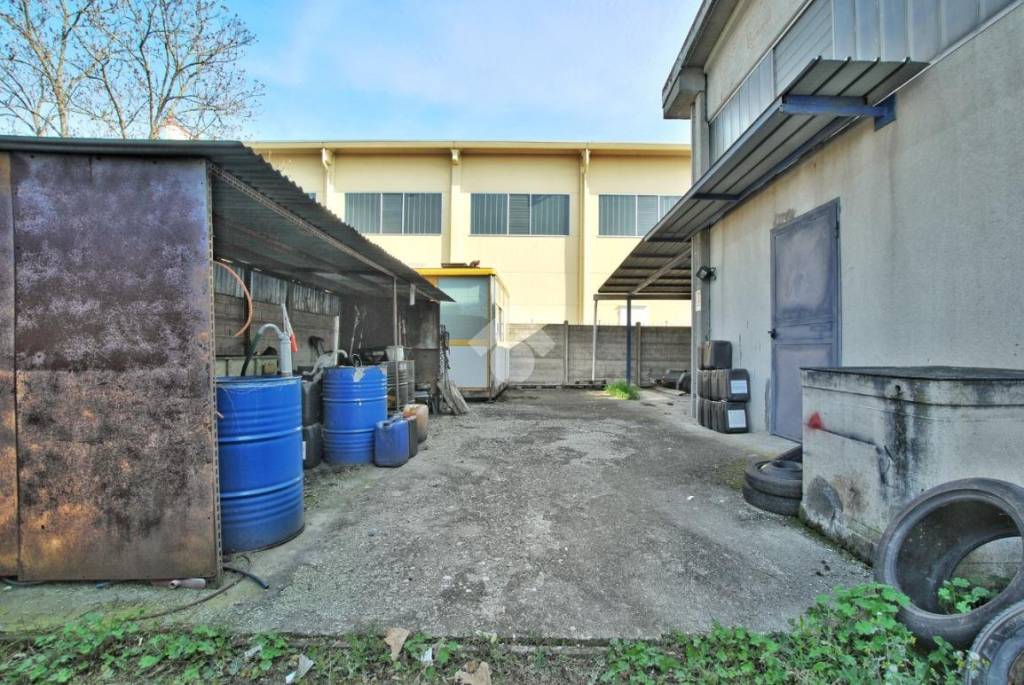 immagine annuncio 9 di 15