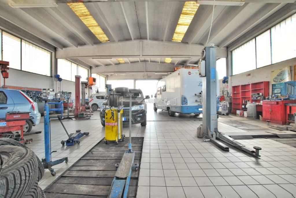 immagine annuncio 12 di 15