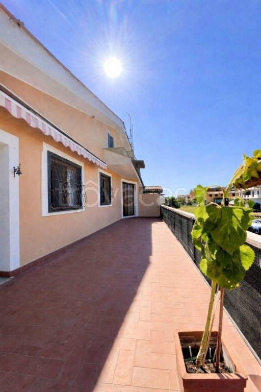 immagine annuncio 9 di 12