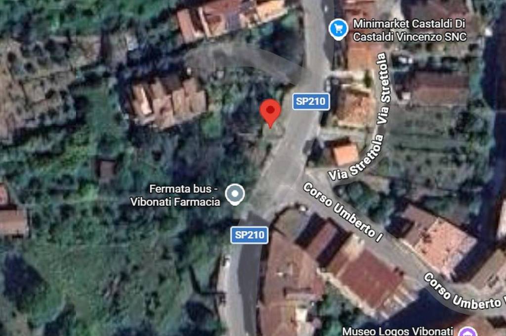 immagine annuncio 2 di 11