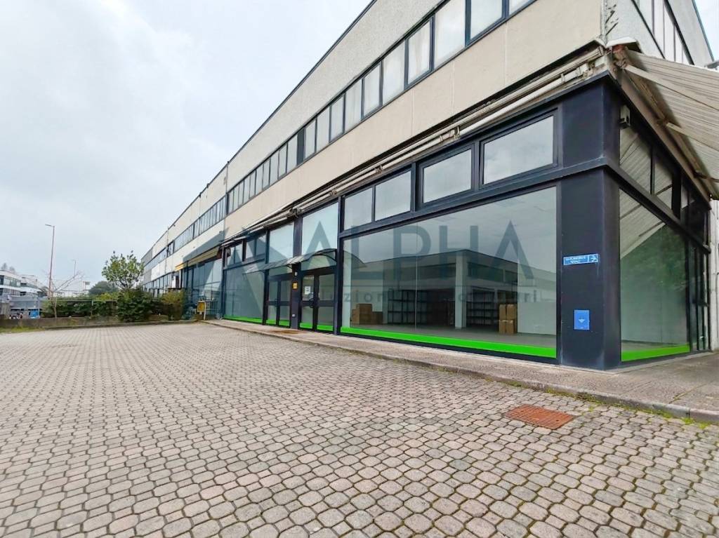 immagine annuncio 2 di 4