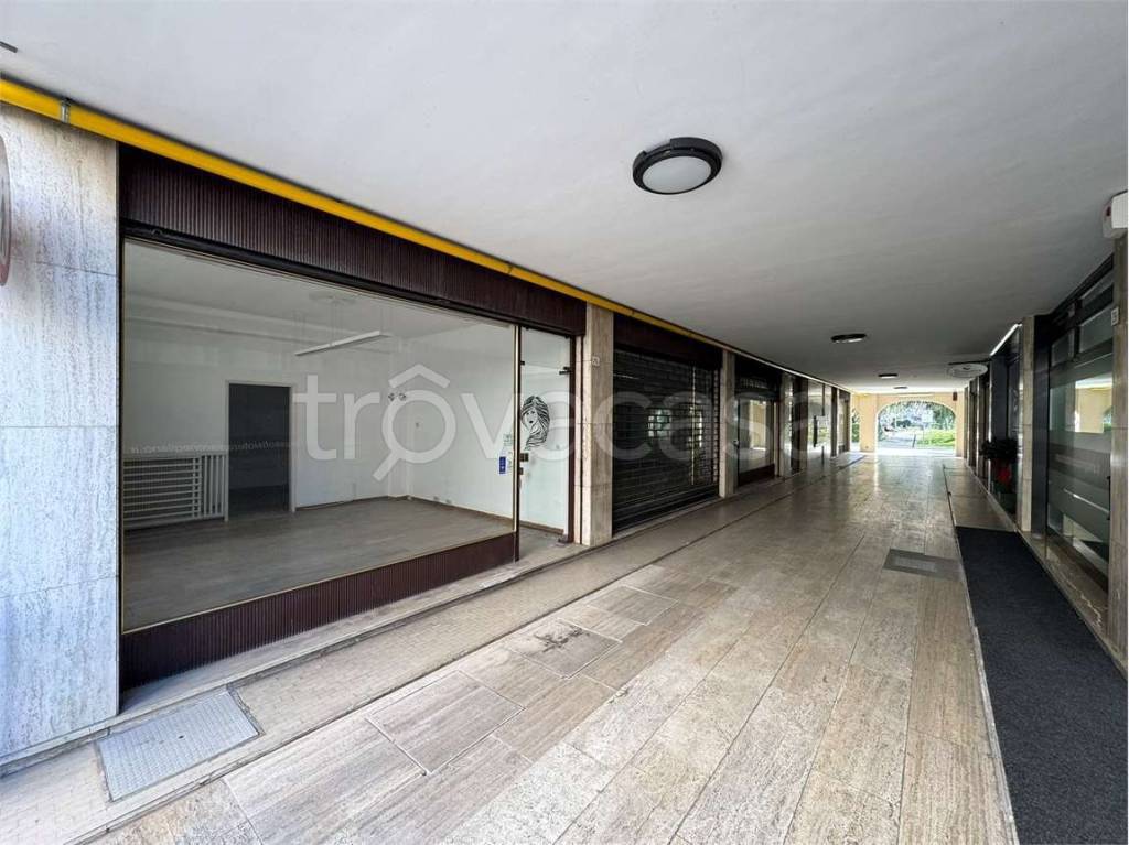 immagine annuncio 4 di 14