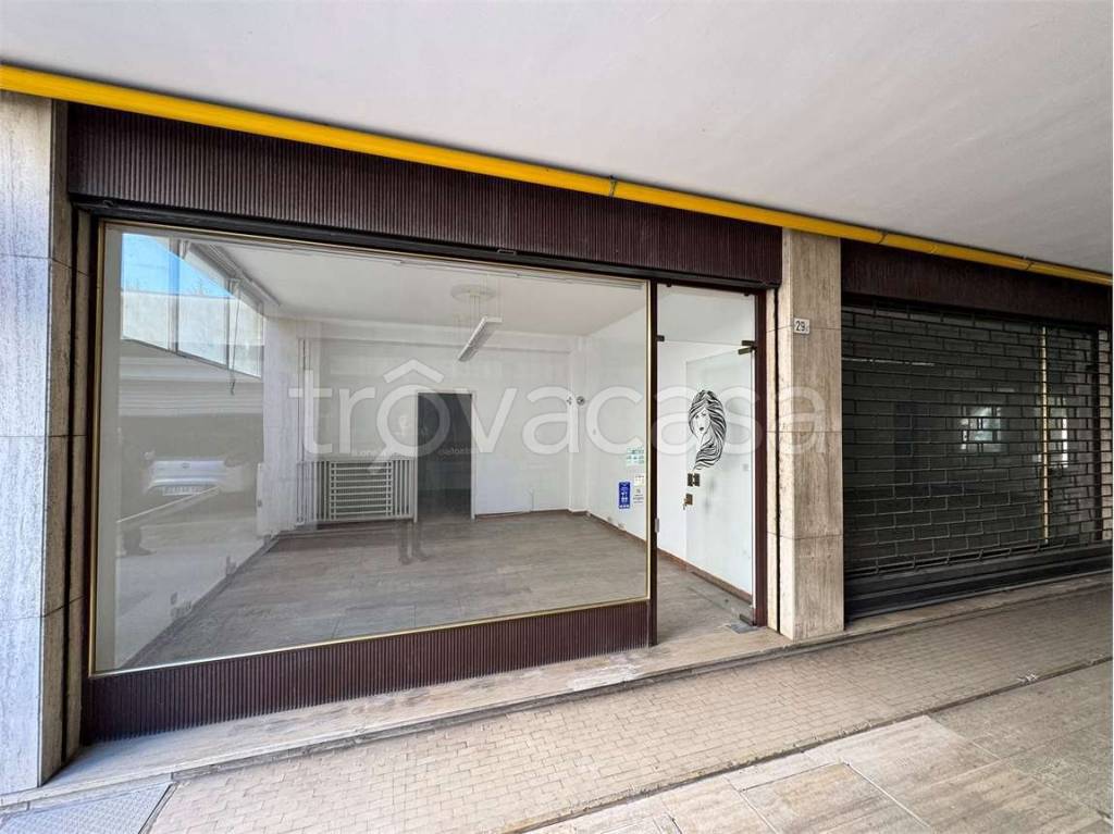 immagine annuncio 5 di 14