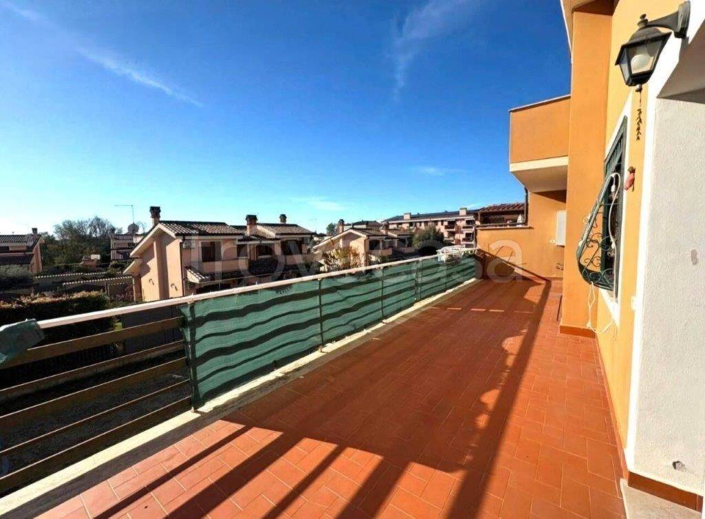 immagine annuncio 2 di 12