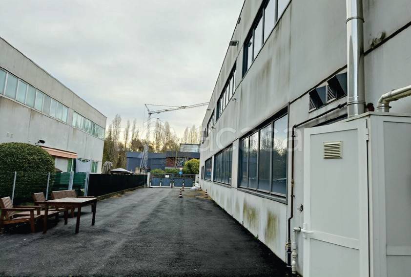 immagine annuncio 3 di 12