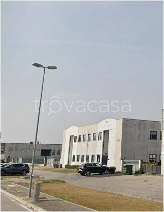 immagine annuncio 7 di 12