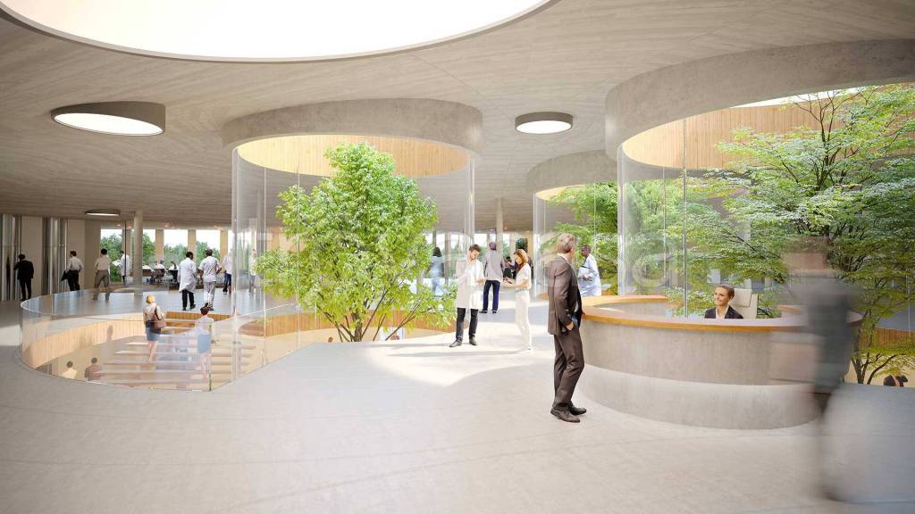 immagine annuncio 5 di 14