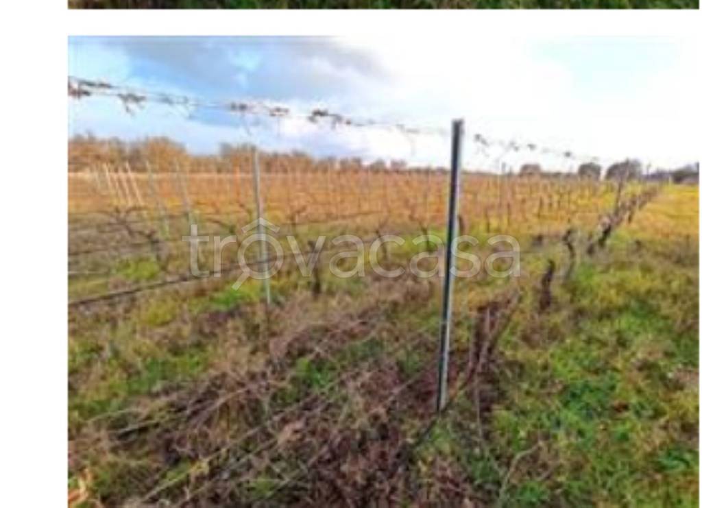 immagine annuncio 10 di 13