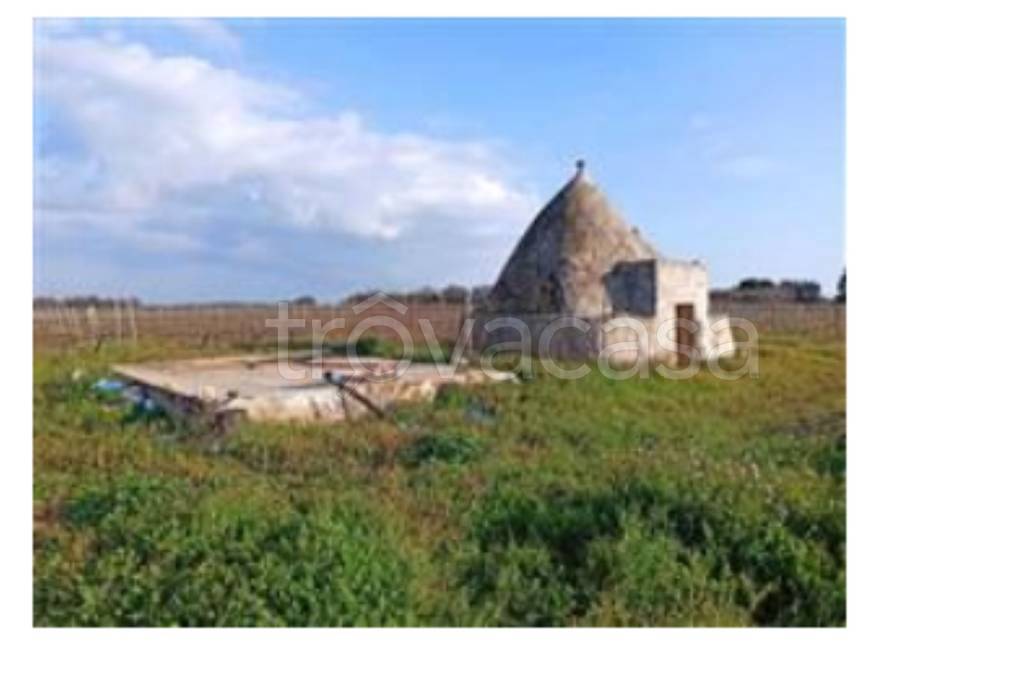 immagine annuncio 11 di 13