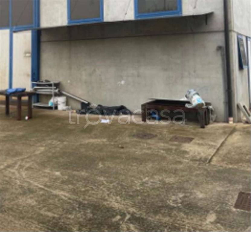 immagine annuncio 3 di 12