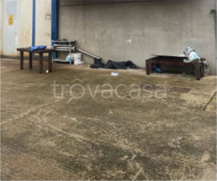 immagine annuncio 7 di 12