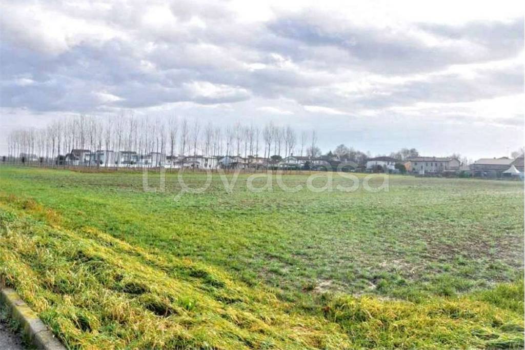 immagine annuncio 4 di 12