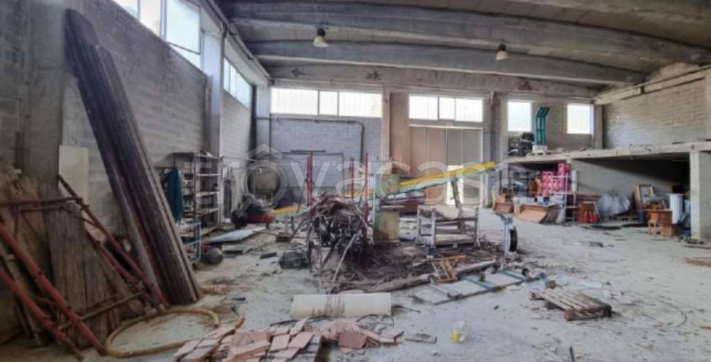 immagine annuncio 3 di 11