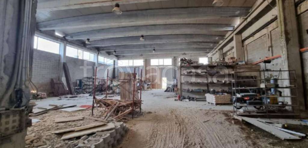 immagine annuncio 5 di 11