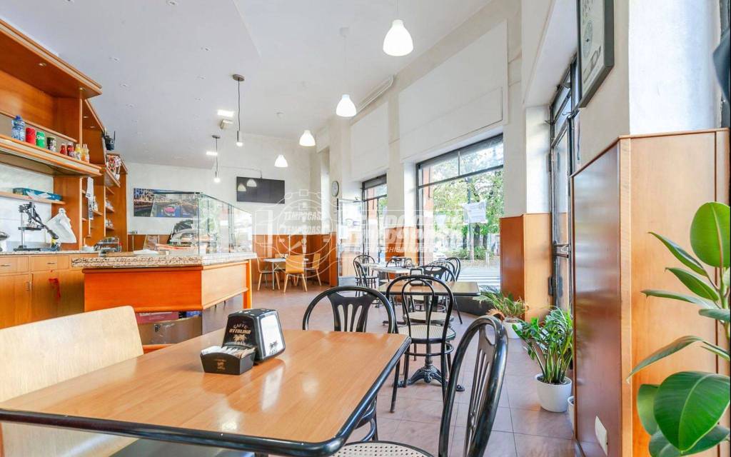 immagine annuncio 4 di 9