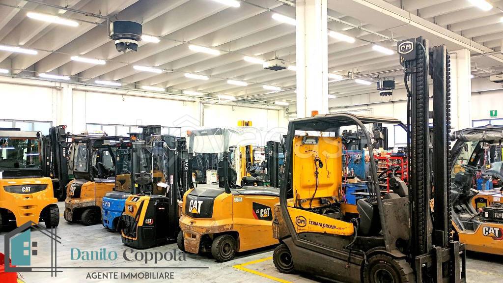 immagine annuncio 12 di 15