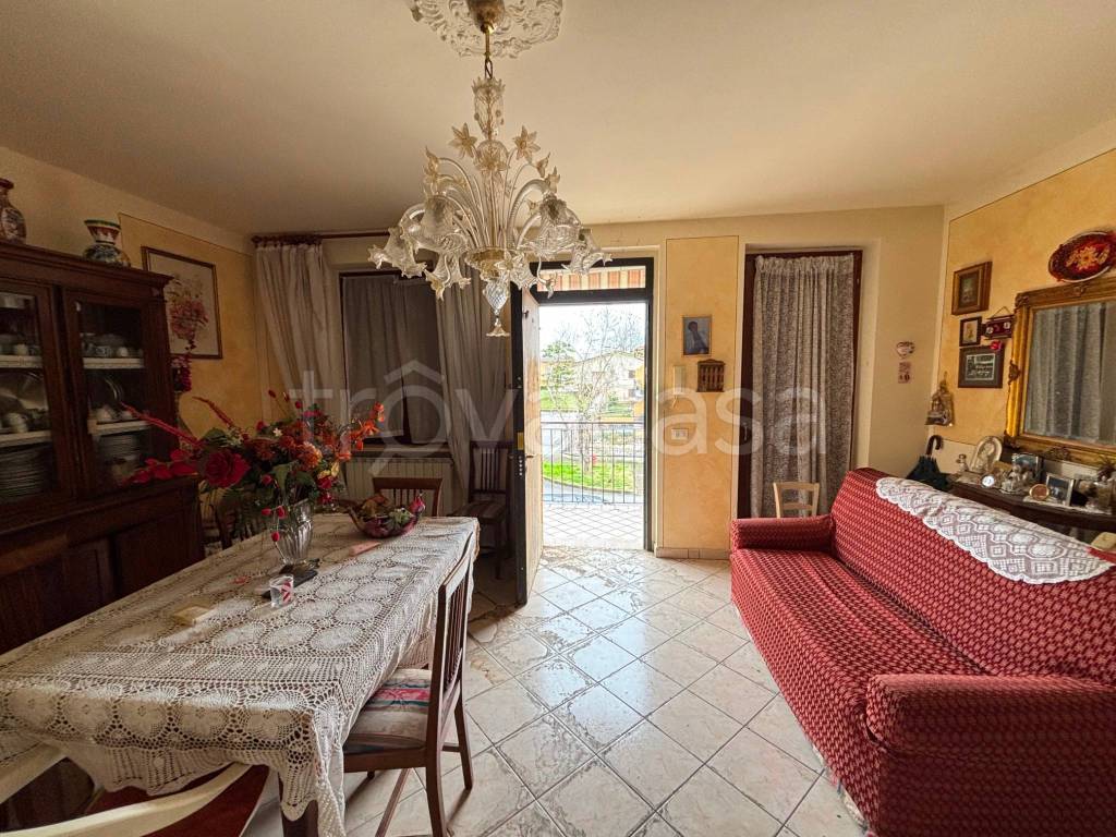 immagine annuncio 1 di 11