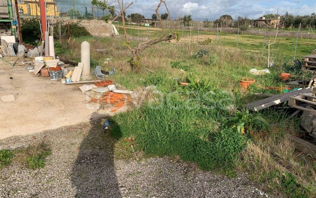 immagine annuncio 3 di 11