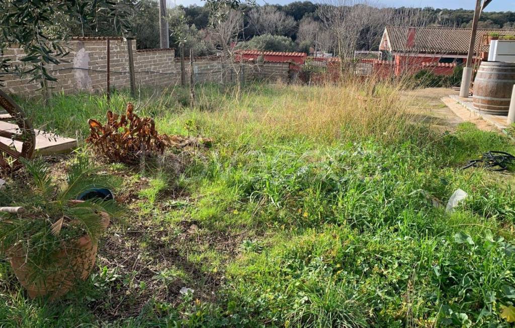 immagine annuncio 4 di 11