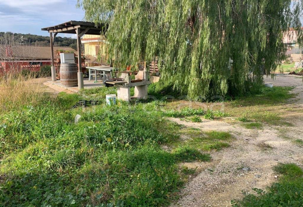 immagine annuncio 5 di 11