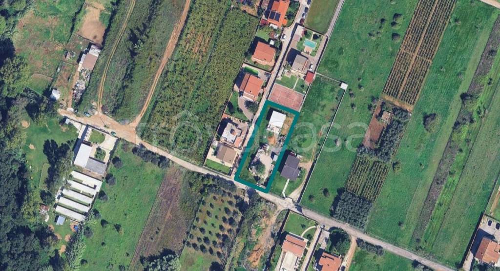 immagine annuncio 10 di 11