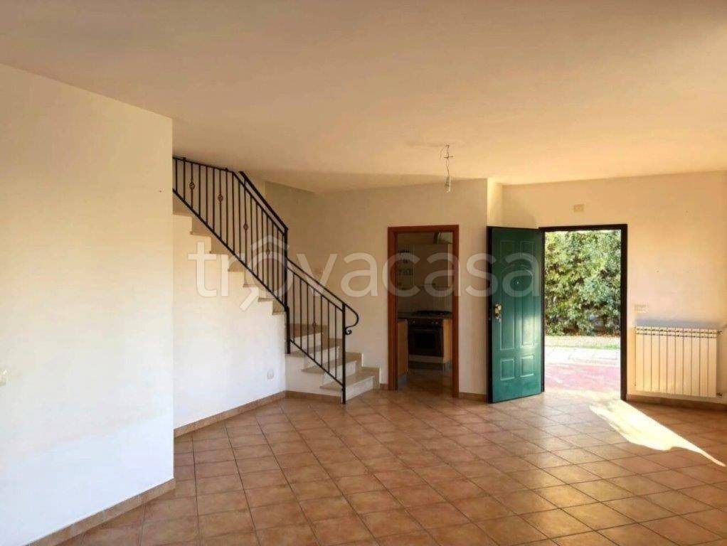 immagine annuncio 2 di 14