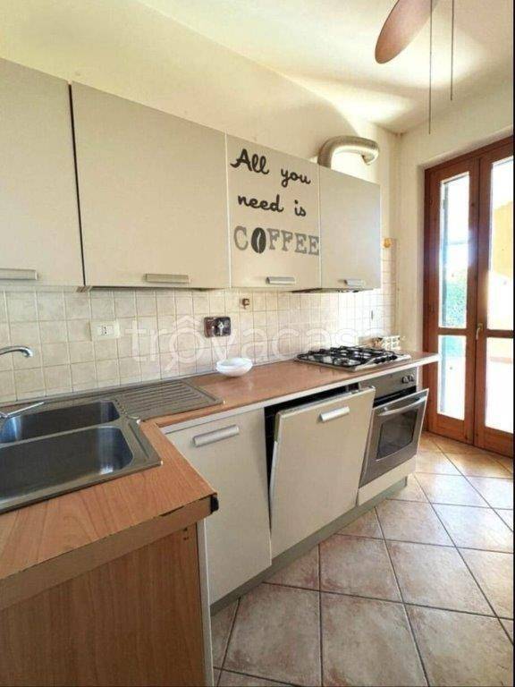 immagine annuncio 3 di 14