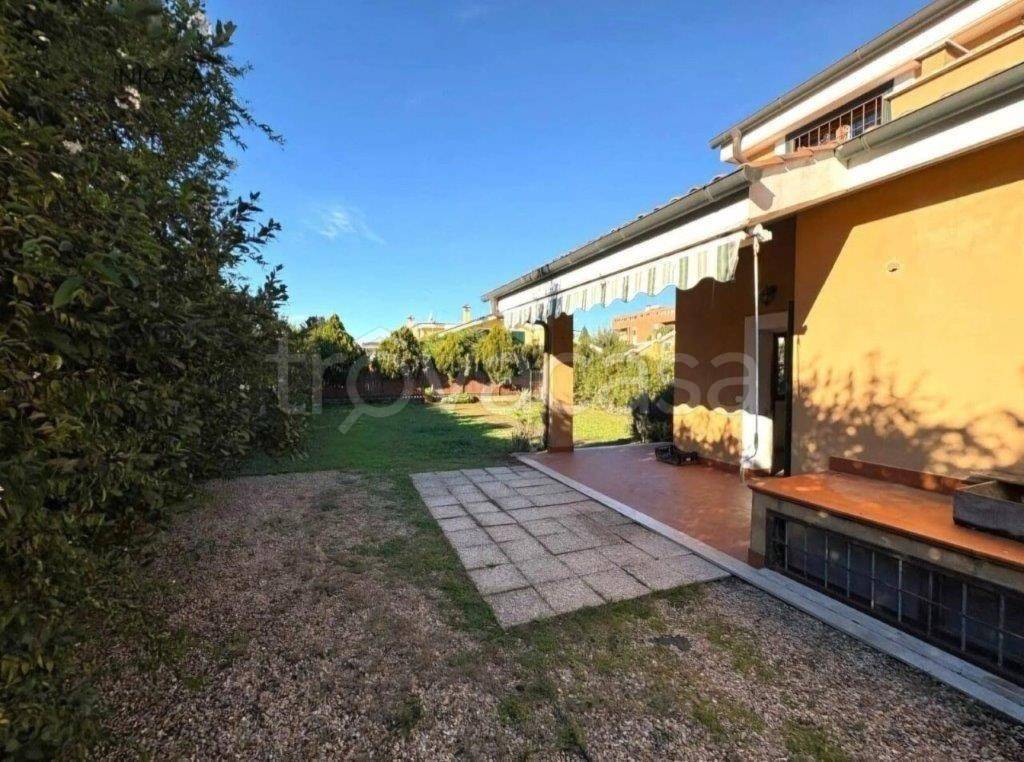 immagine annuncio 5 di 14