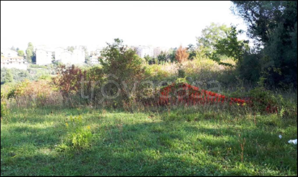 immagine annuncio 2 di 12