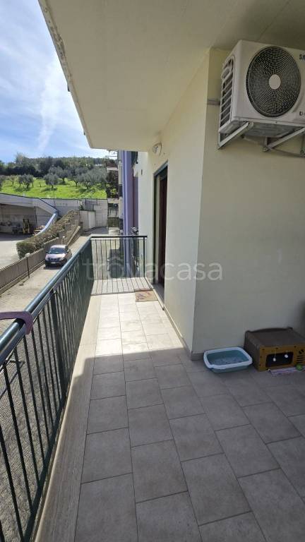 immagine annuncio 12 di 13