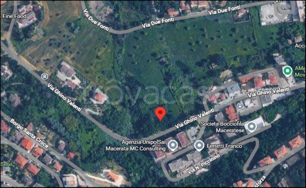 immagine annuncio 11 di 12