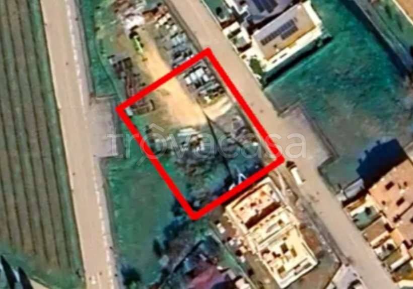 immagine annuncio 6 di 12