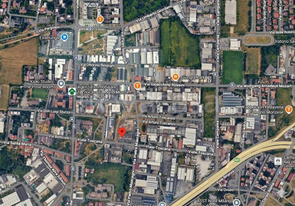 immagine annuncio 9 di 10