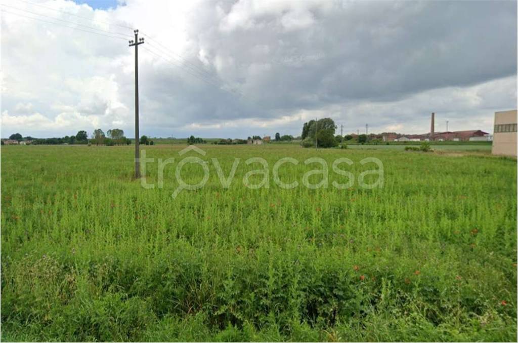 immagine annuncio 8 di 14