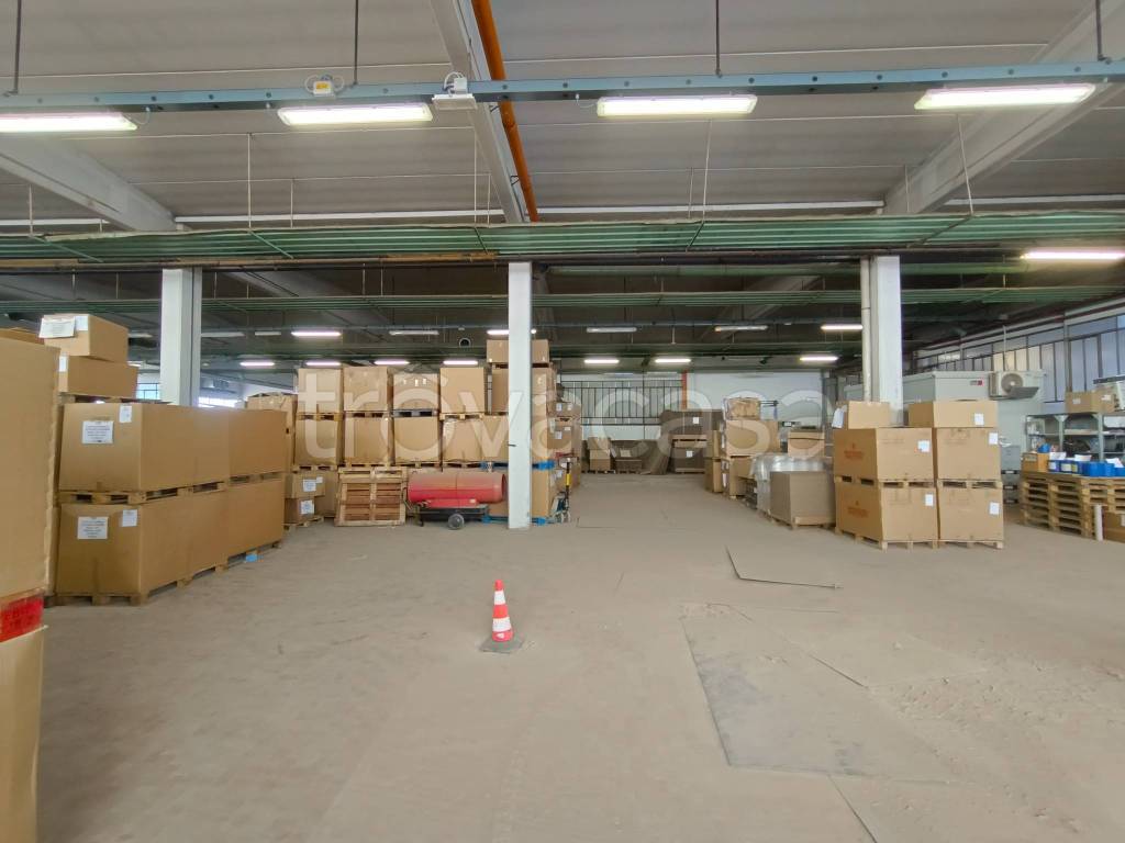 immagine annuncio 2 di 14