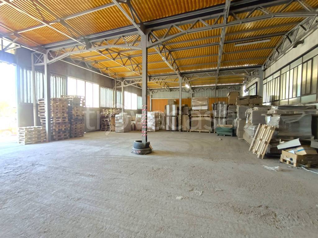 immagine annuncio 1 di 14