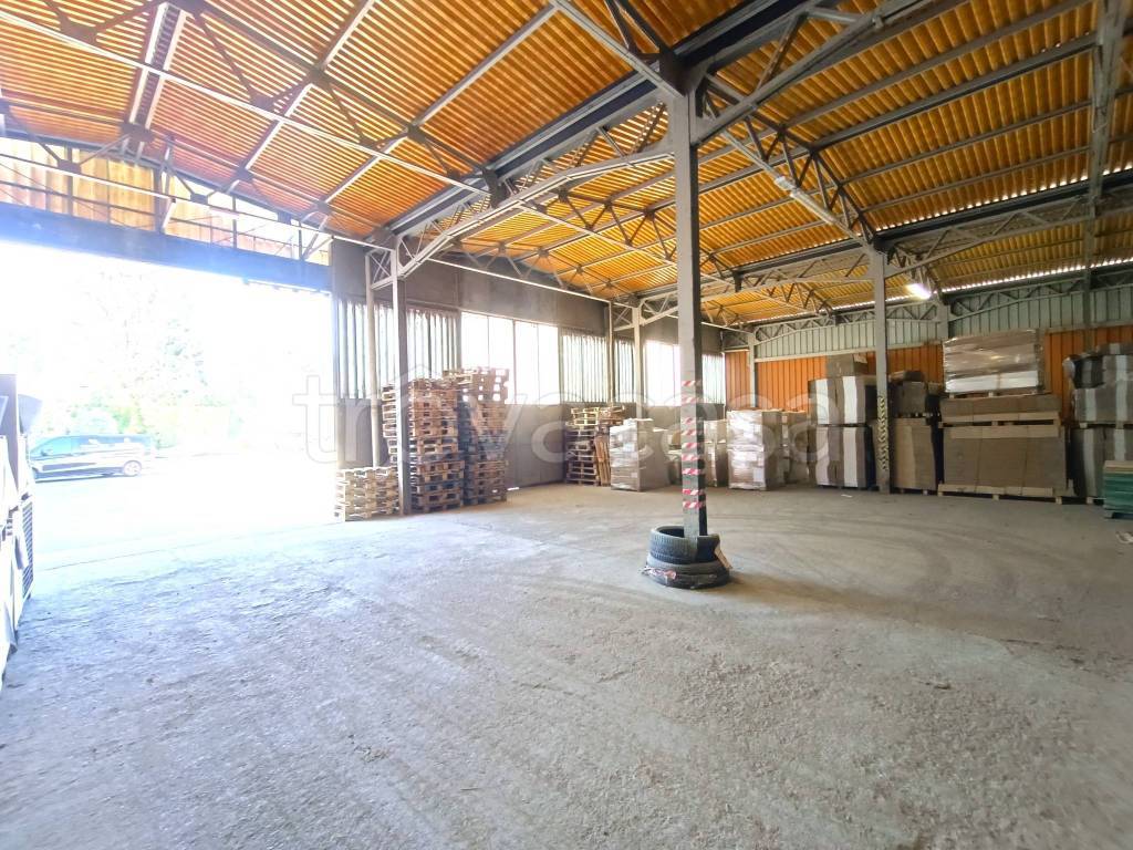 immagine annuncio 4 di 14