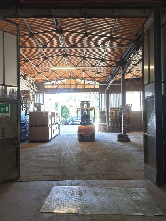 immagine annuncio 5 di 14