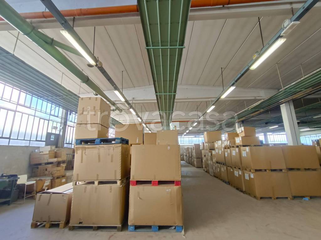 immagine annuncio 6 di 14