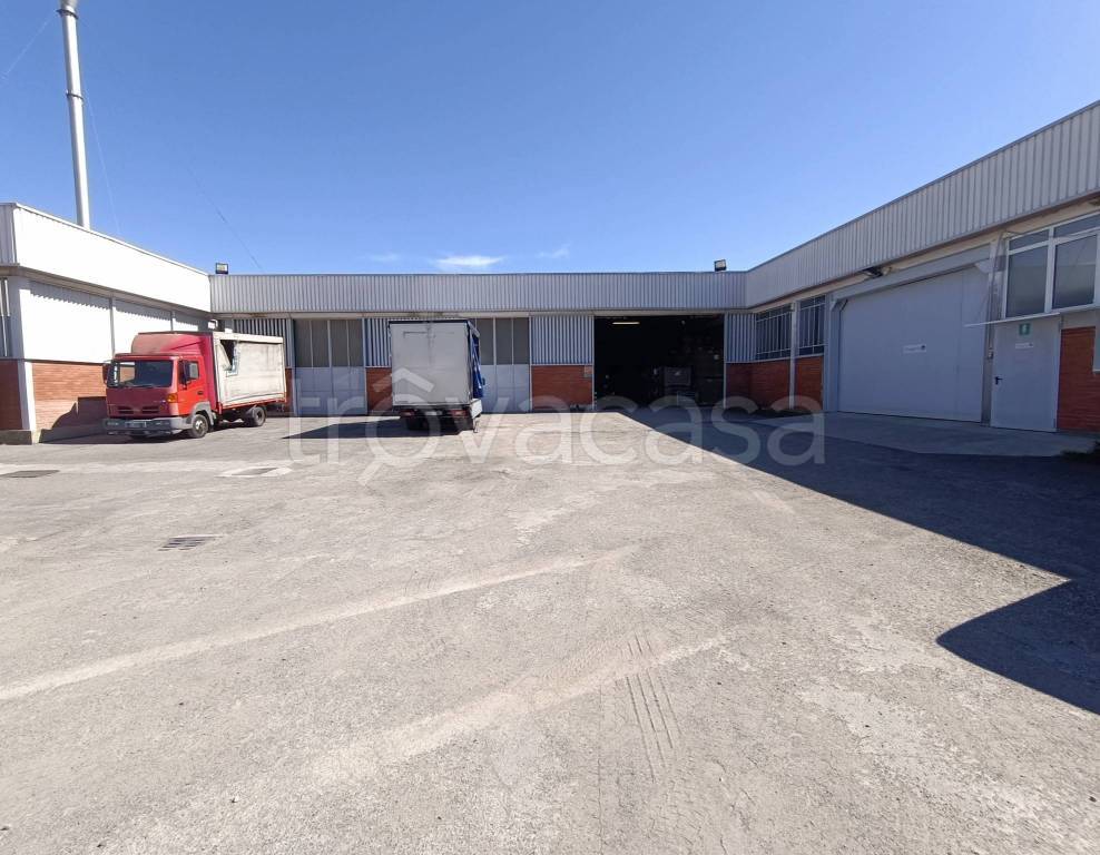 immagine annuncio 8 di 14