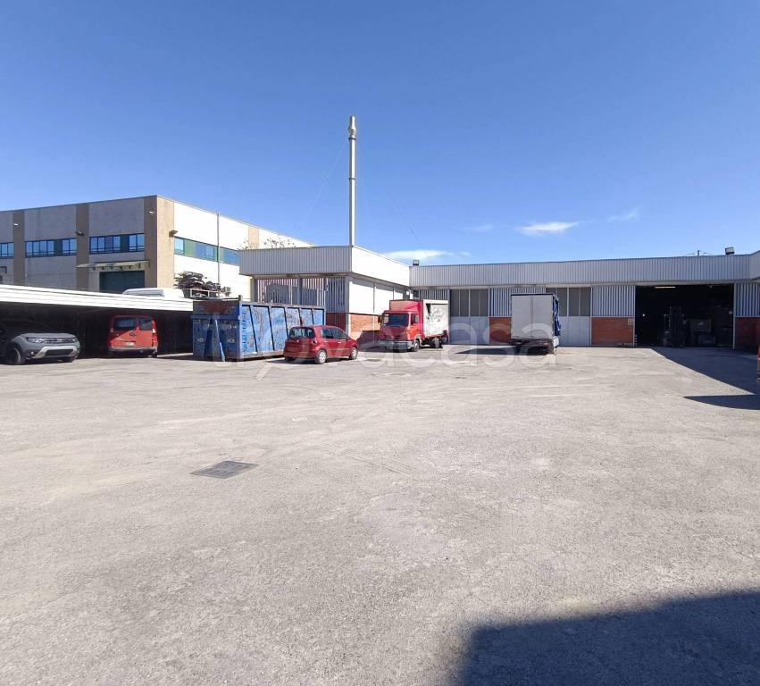 immagine annuncio 9 di 14