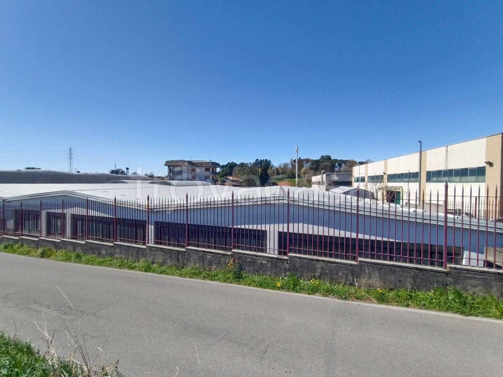 immagine annuncio 10 di 14