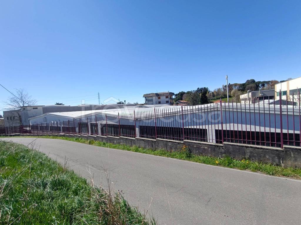 immagine annuncio 11 di 14