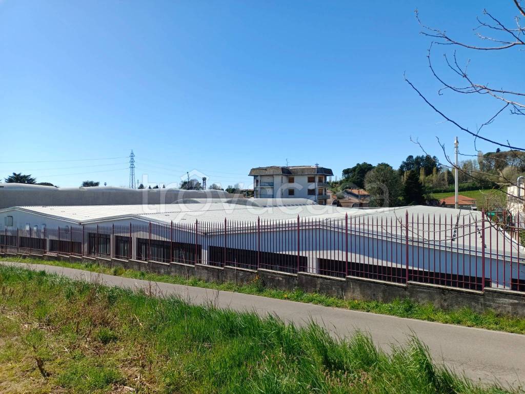 immagine annuncio 12 di 14