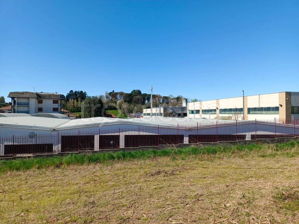 immagine annuncio 13 di 14