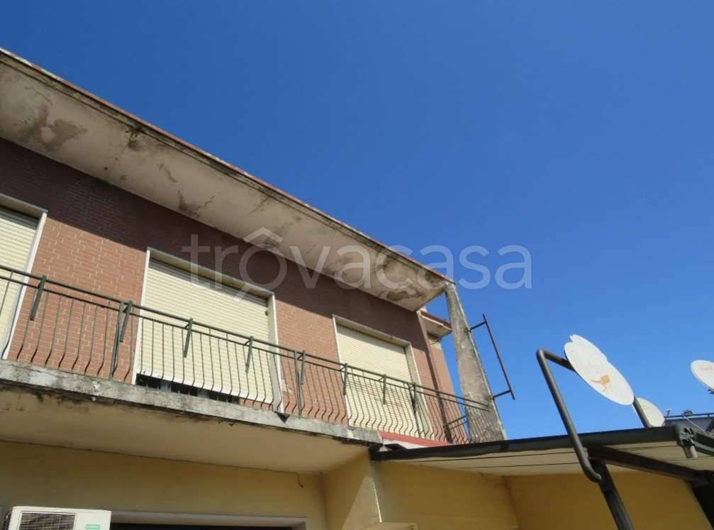 immagine annuncio 2 di 8