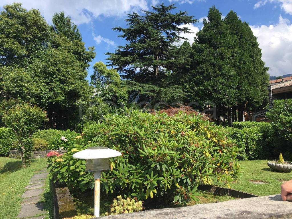 immagine annuncio 2 di 6