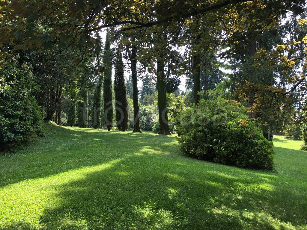 immagine annuncio 3 di 6